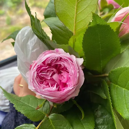 La Breteche Du Perche Saint-Germain-de-la-Coudre