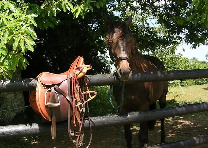 La Breteche Du Perche Dom wakacyjny *