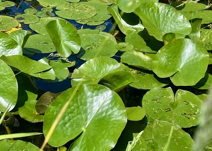 La Breteche Du Perche