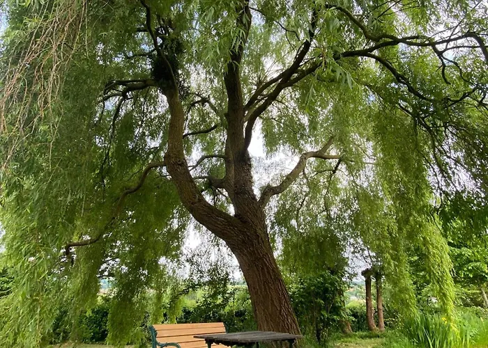 La Breteche Du Perche