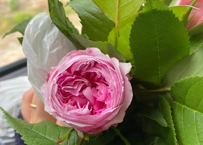 La Breteche Du Perche Saint-Germain-de-la-Coudre